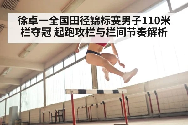徐卓一全国田径锦标赛男子110米栏夺冠 起跑攻栏与栏间节奏解析